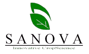 Sanova Innovative